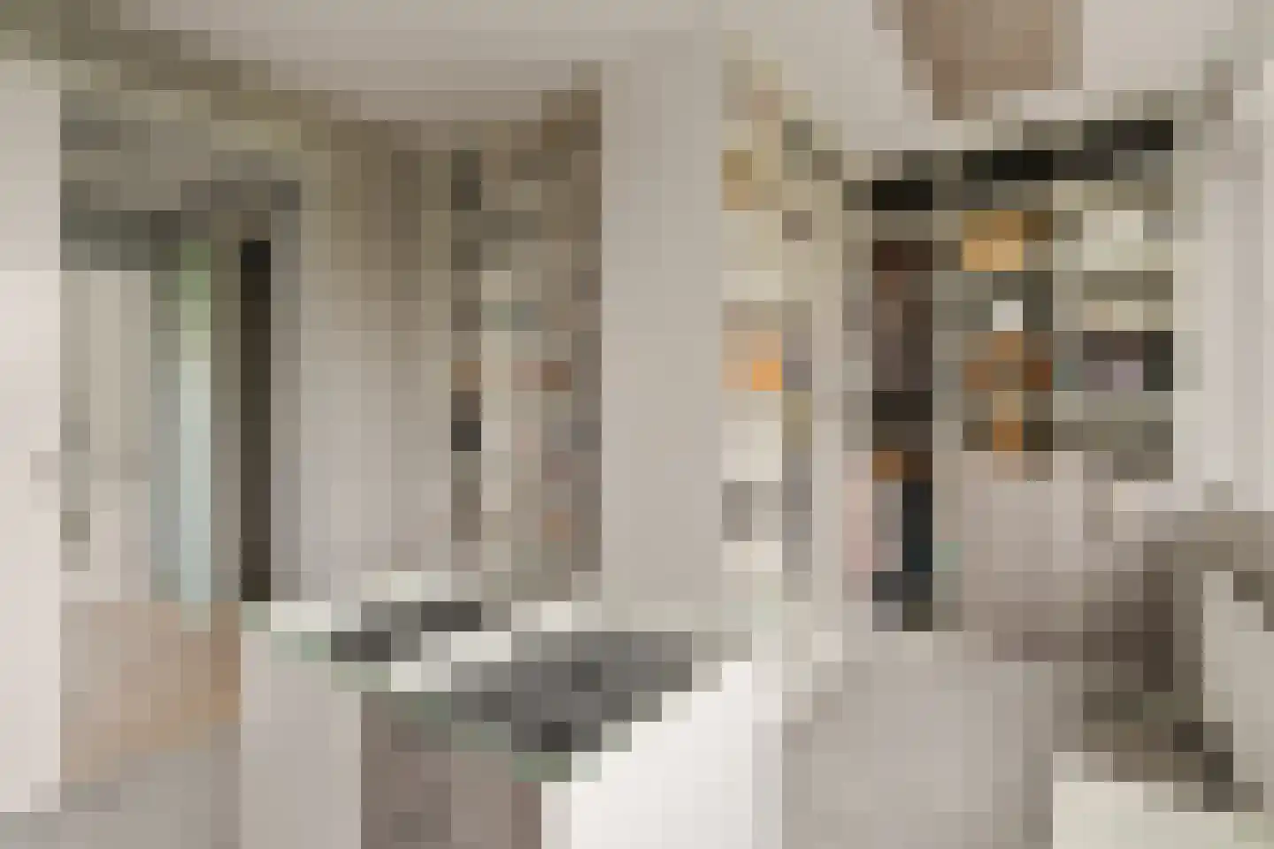 Samoshof 9 Rotterdam thumbnail 20