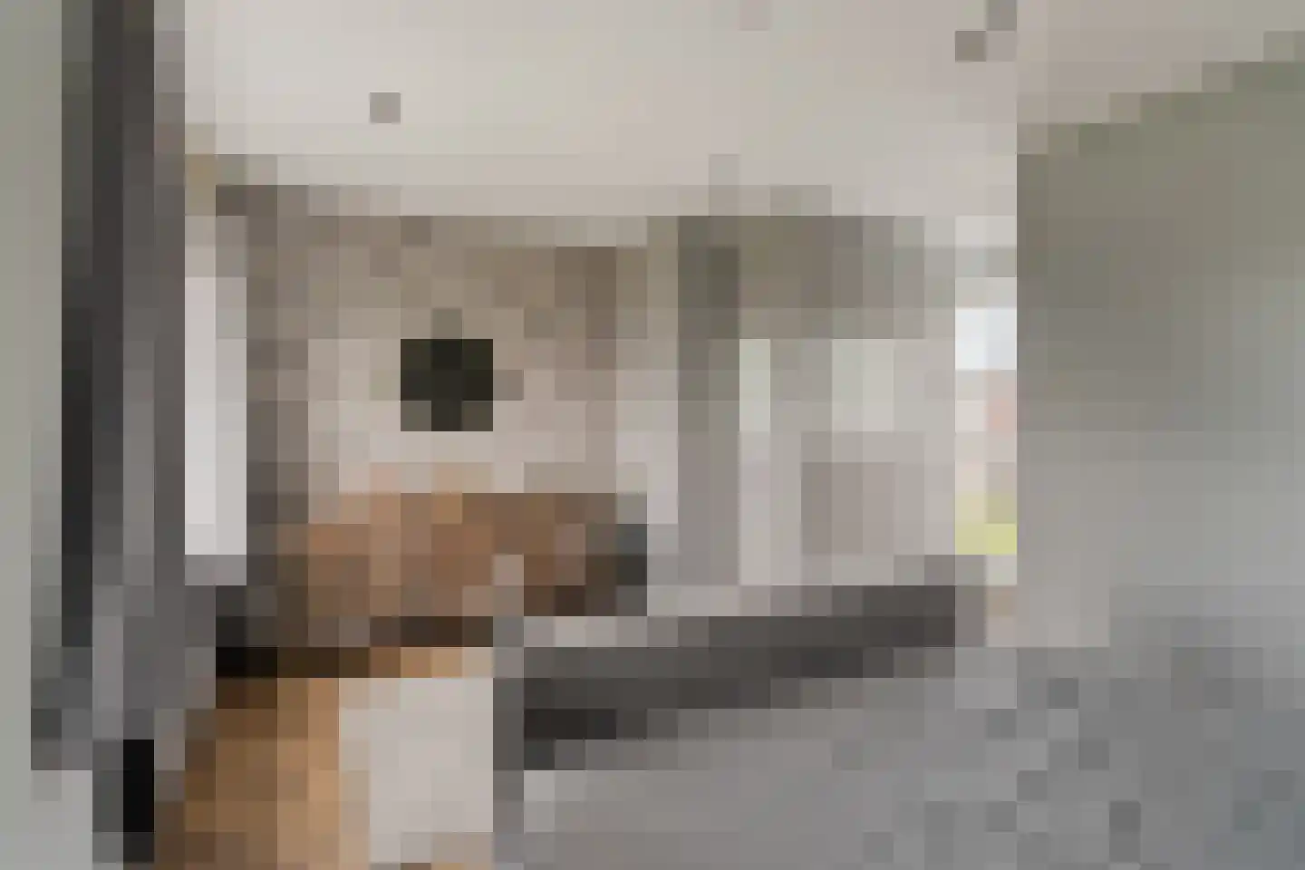 Samoshof 9 Rotterdam thumbnail 30