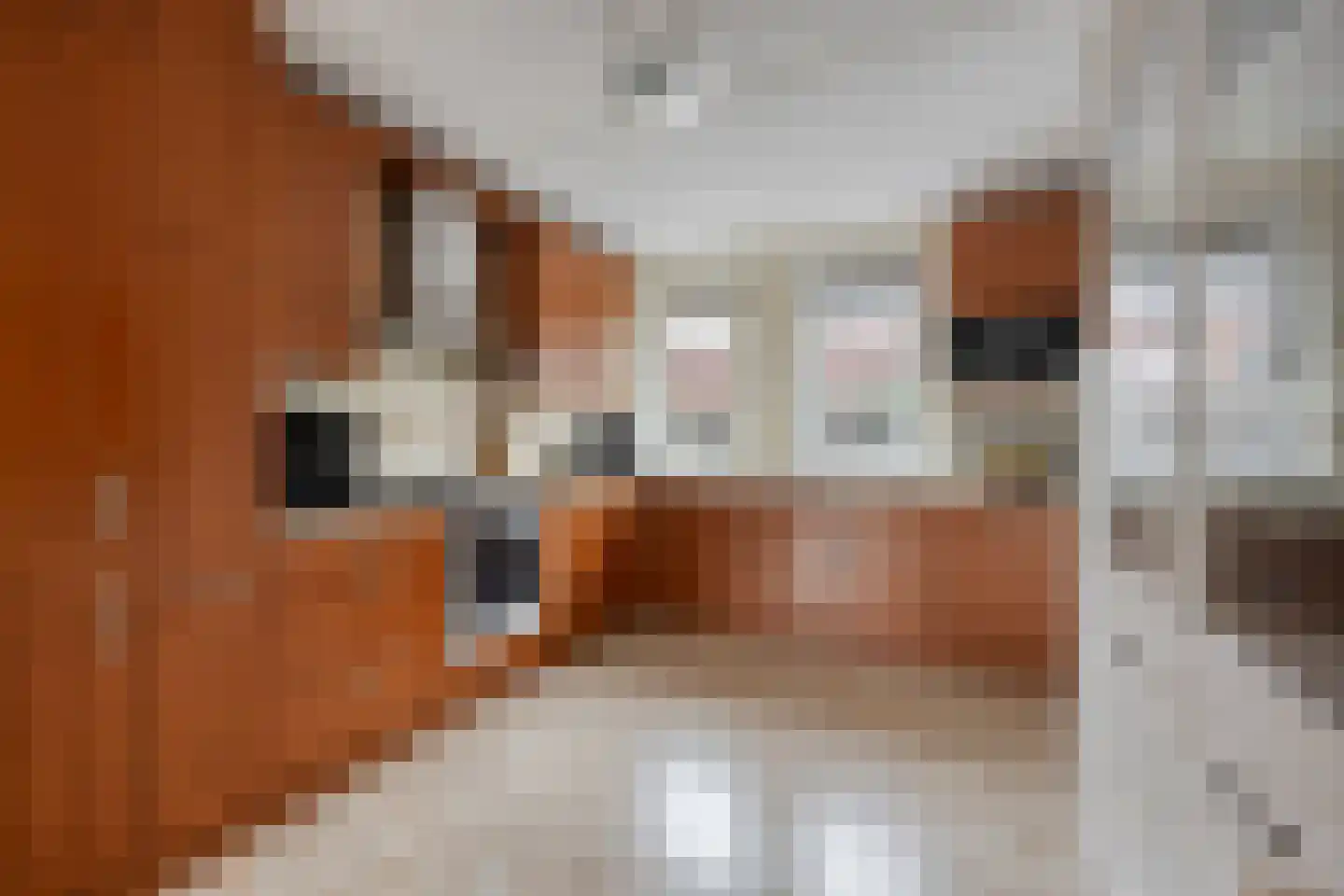 Samosstraat 40 Amsterdam thumbnail 9