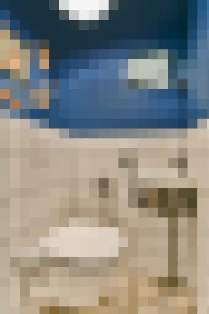 Samosstraat 44 Amsterdam thumbnail 33