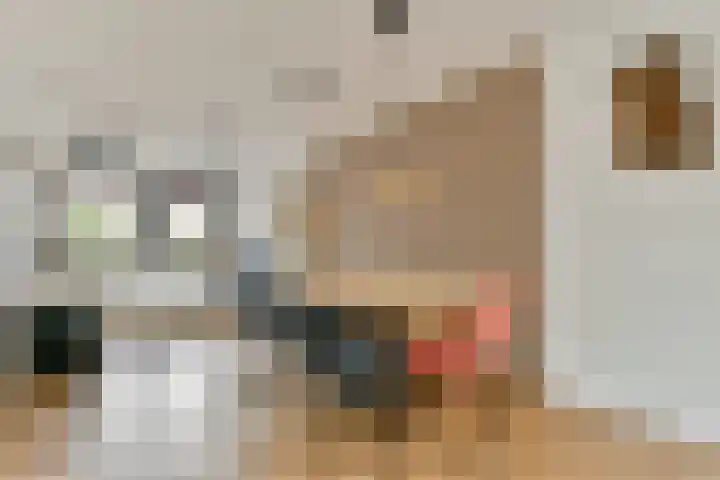 Samosstraat 44 Amsterdam thumbnail 9