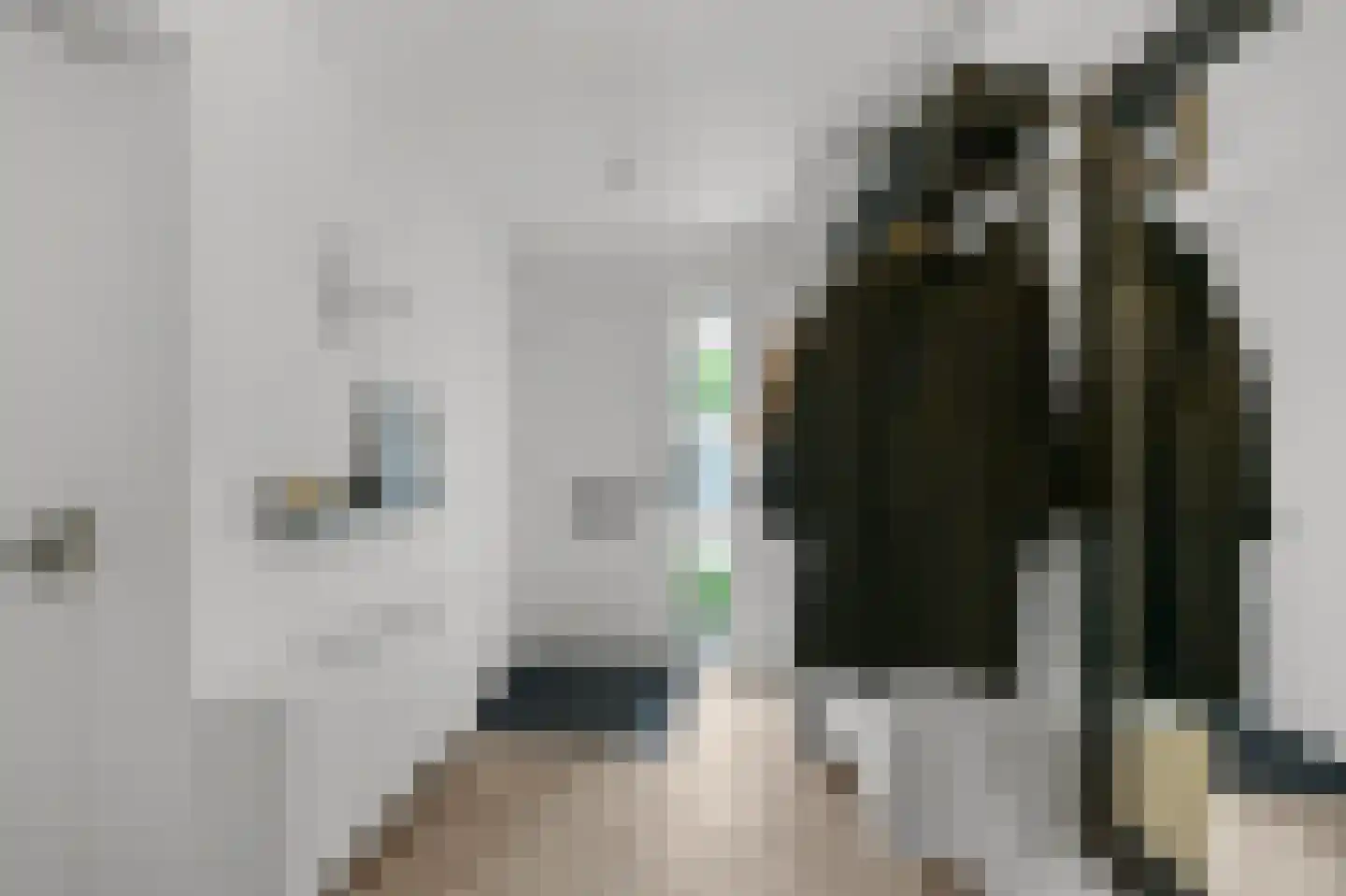 Samsomlaan 1 Alphen aan den Rijn thumbnail 10