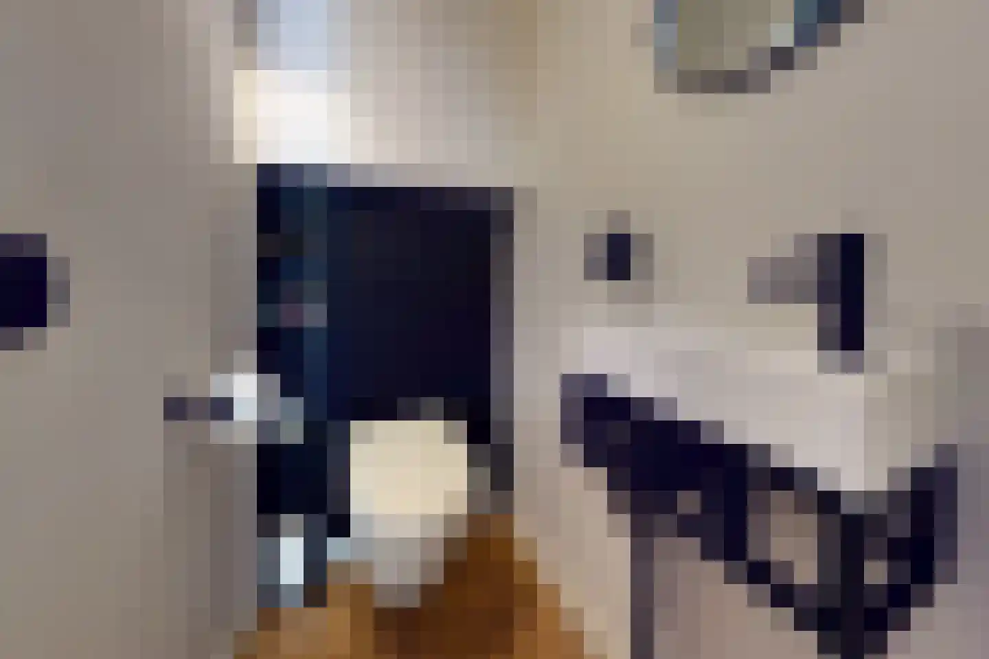 Samsomlaan 1 Alphen aan den Rijn thumbnail 11