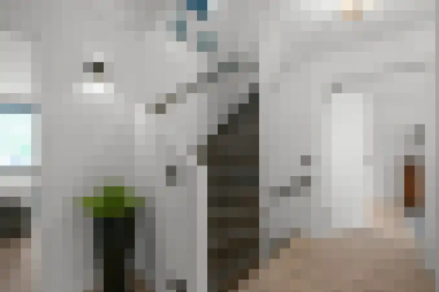 Samsomlaan 1 Alphen aan den Rijn thumbnail 22