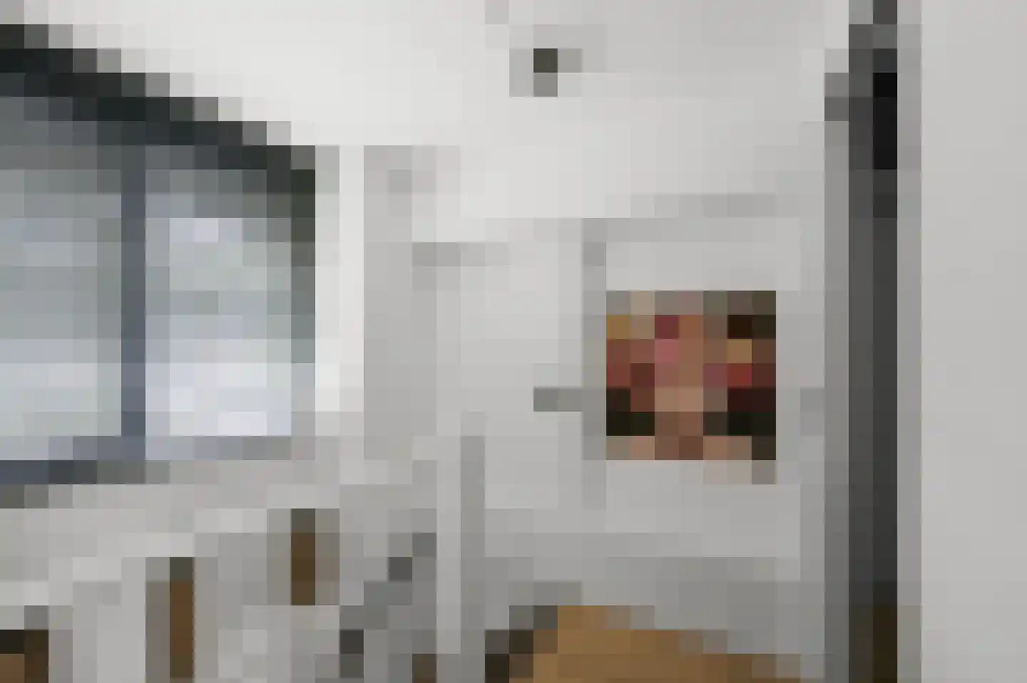 Samsomlaan 1 Alphen aan den Rijn thumbnail 23