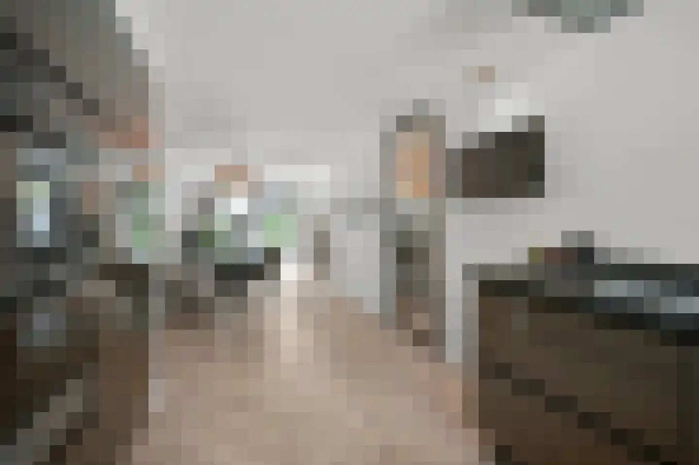 Samsomlaan 1 Alphen aan den Rijn thumbnail 7