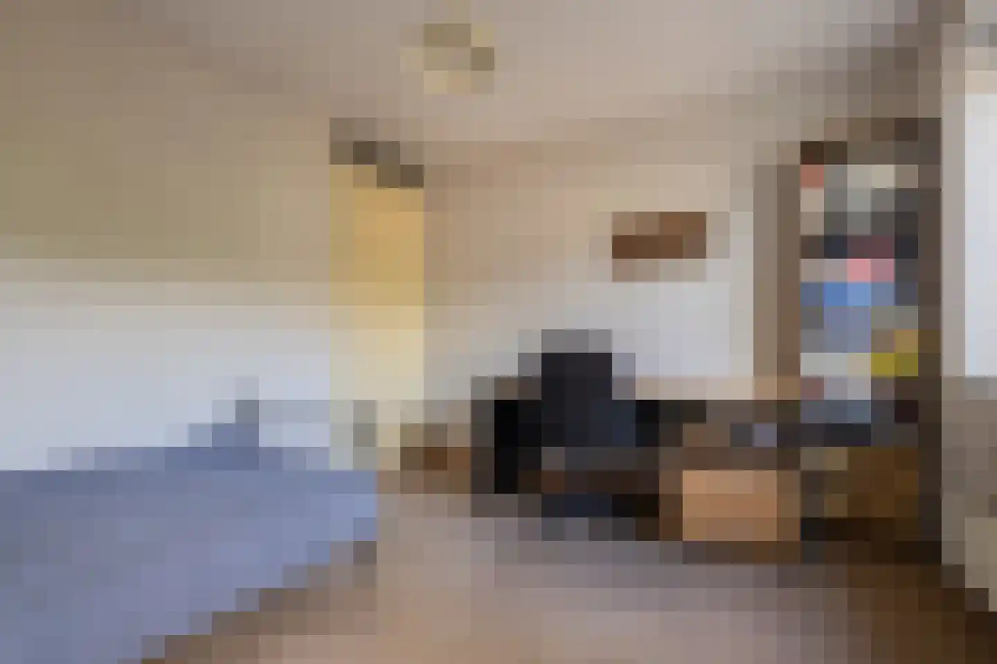 Samsomlaan 10 Alphen aan den Rijn thumbnail 11