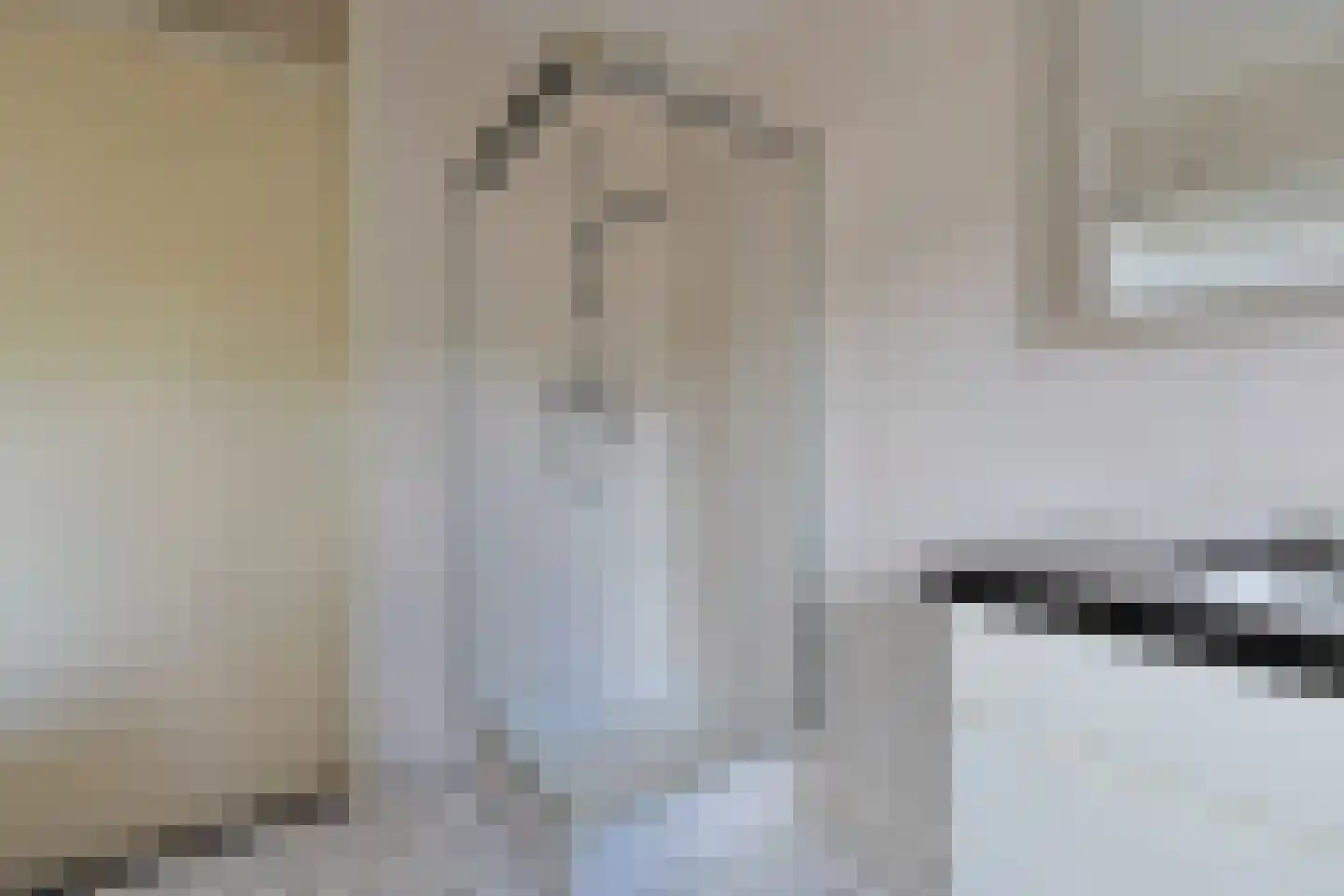 Samsomlaan 10 Alphen aan den Rijn thumbnail 13