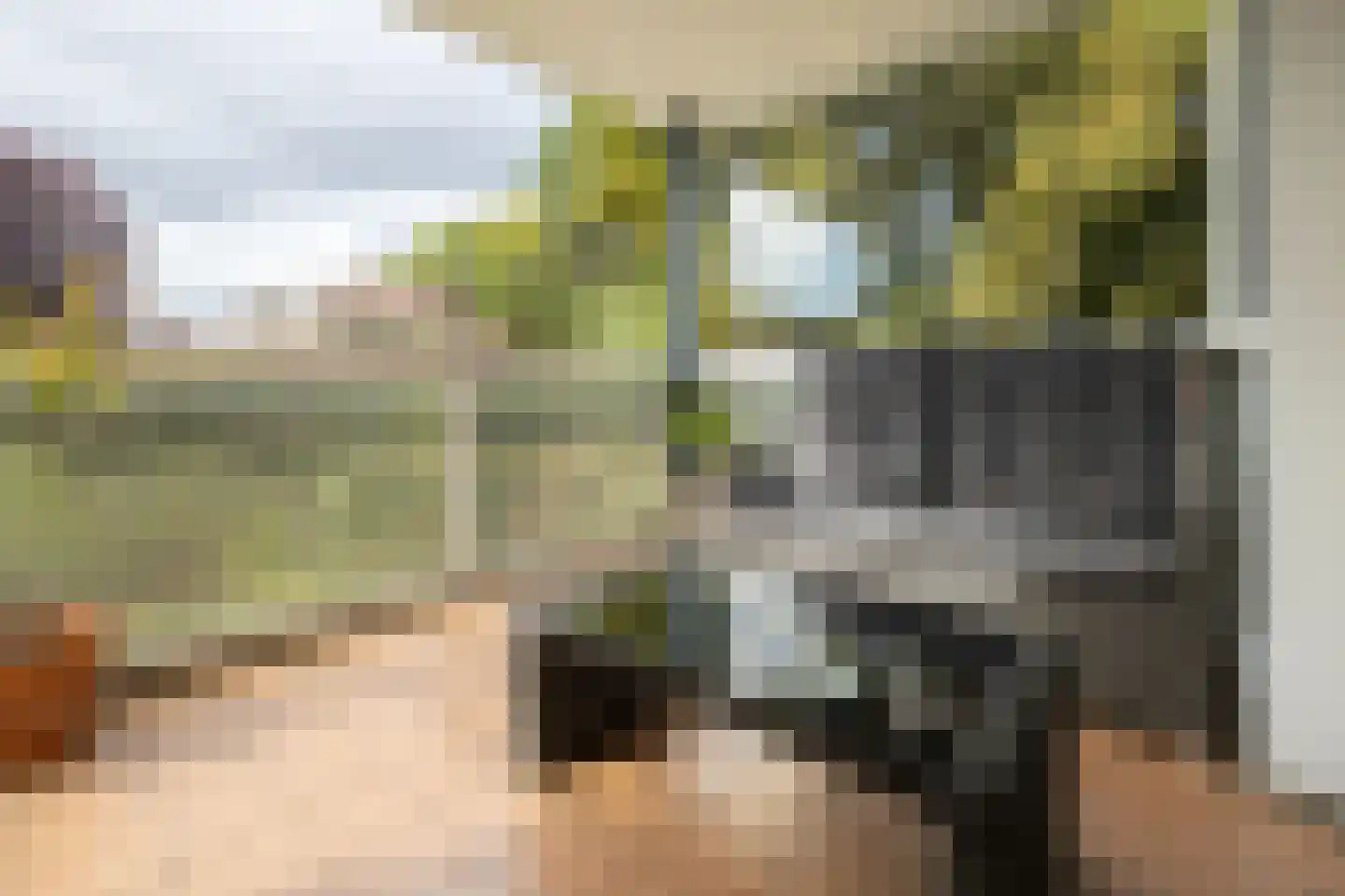 Samsomlaan 10 Alphen aan den Rijn thumbnail 14