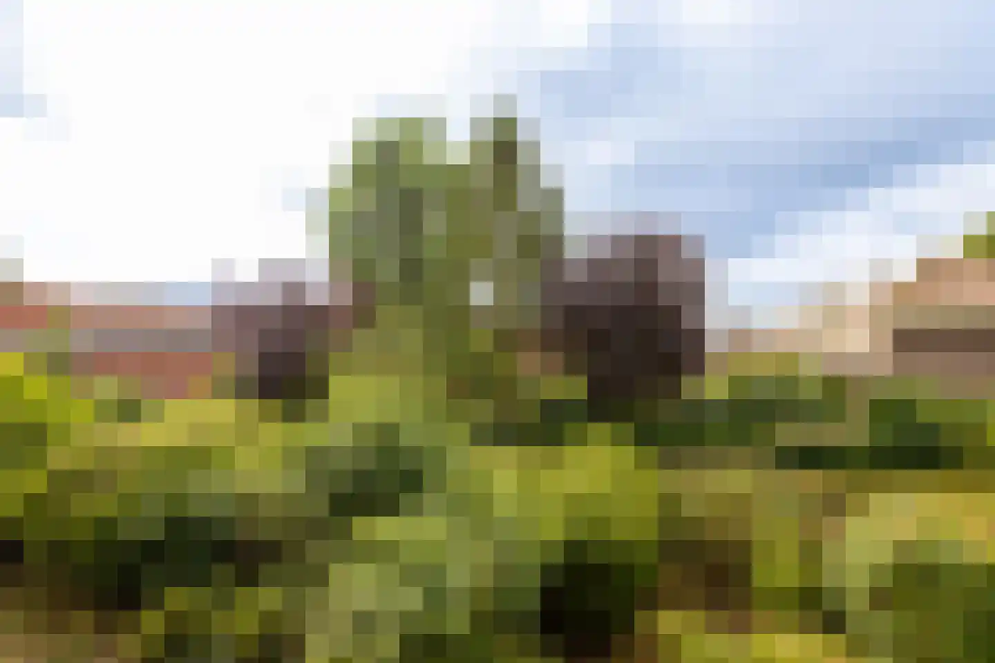 Samsomlaan 10 Alphen aan den Rijn thumbnail 16