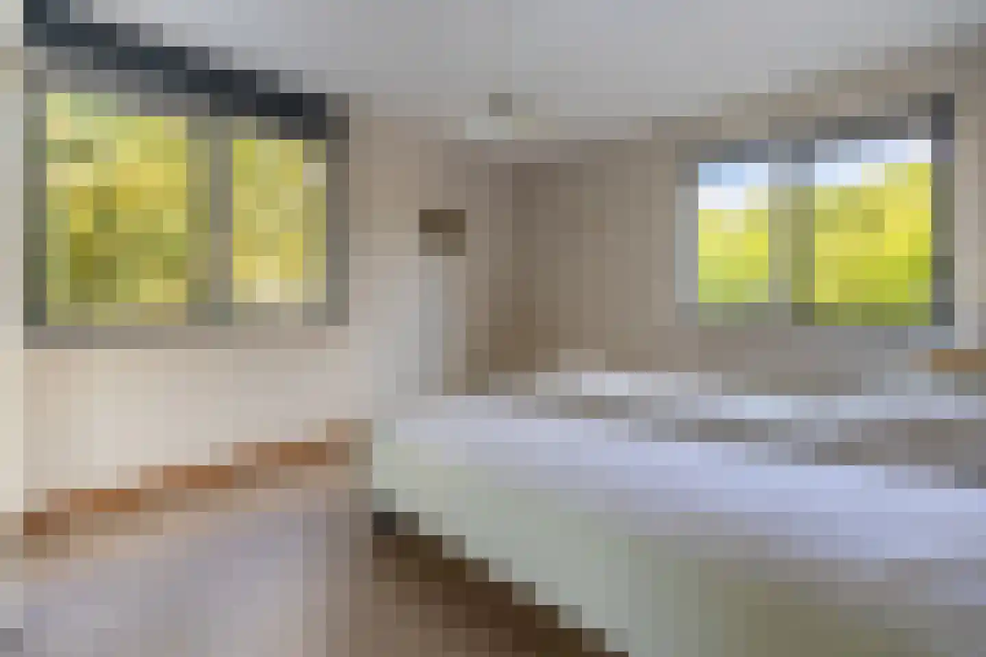 Samsomlaan 10 Alphen aan den Rijn thumbnail 8