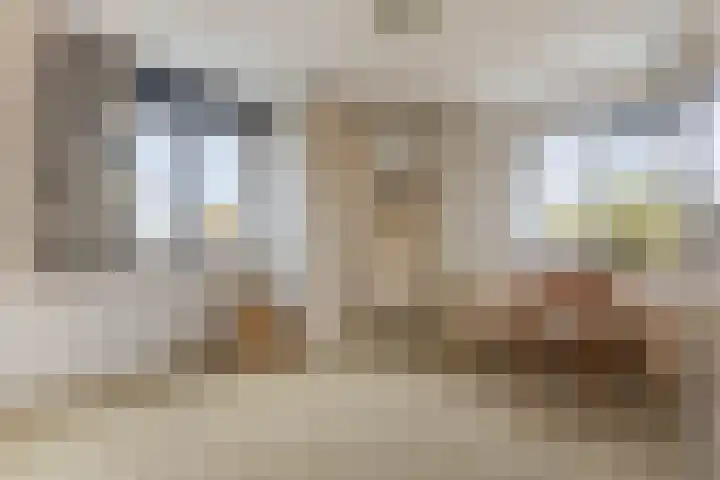Samsomlaan 46 Alphen aan den Rijn thumbnail 10