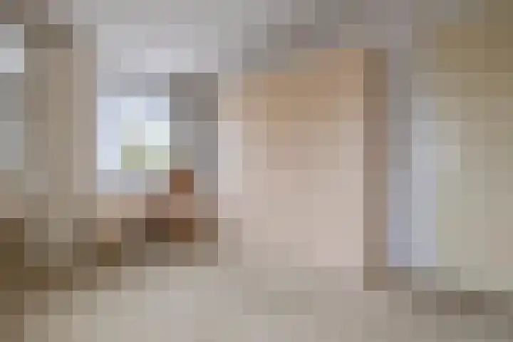 Samsomlaan 46 Alphen aan den Rijn thumbnail 11