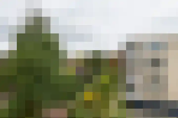 Samsomlaan 46 Alphen aan den Rijn thumbnail 16