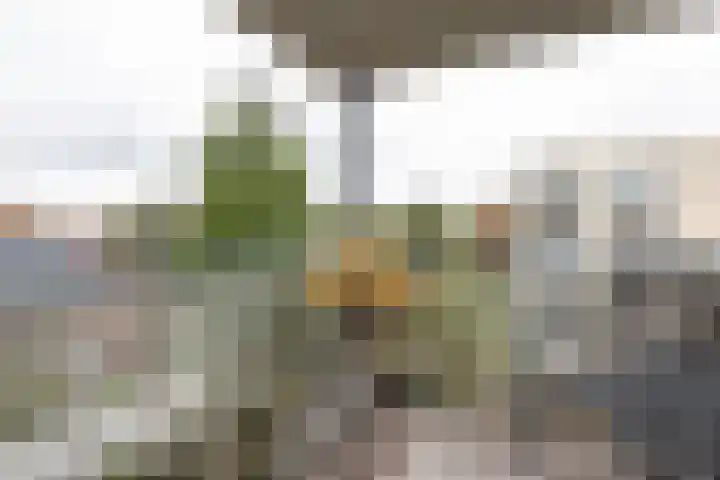 Samsomlaan 46 Alphen aan den Rijn thumbnail 17
