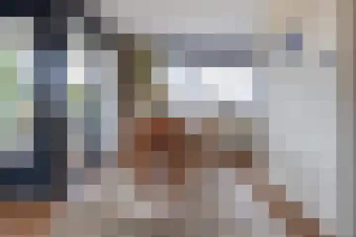 Samsomlaan 46 Alphen aan den Rijn thumbnail 5