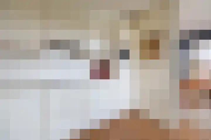 Samsomlaan 46 Alphen aan den Rijn thumbnail 7