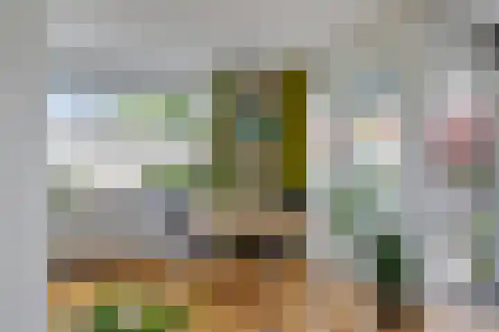 Samsomlaan 58 Alphen aan den Rijn thumbnail 15