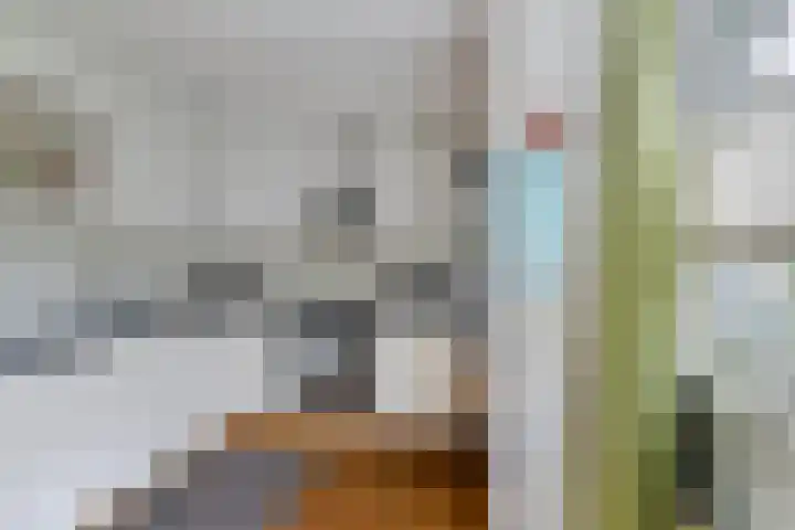 Samsomlaan 58 Alphen aan den Rijn thumbnail 17