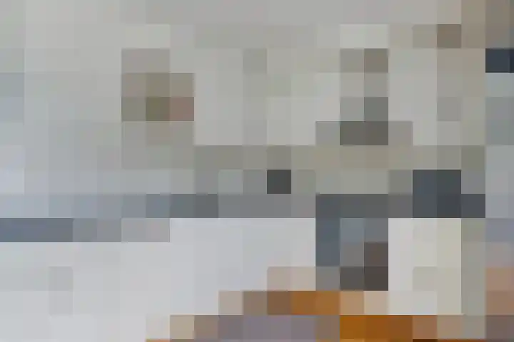 Samsomlaan 58 Alphen aan den Rijn thumbnail 18