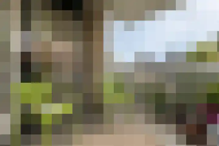 Samsomlaan 58 Alphen aan den Rijn thumbnail 29