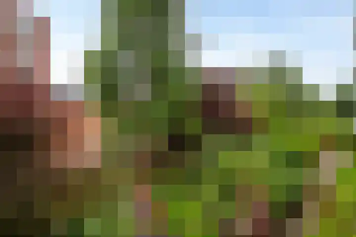 Samsomlaan 58 Alphen aan den Rijn thumbnail 30