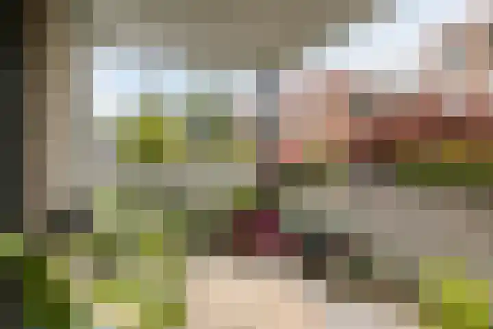 Samsomlaan 58 Alphen aan den Rijn thumbnail 4