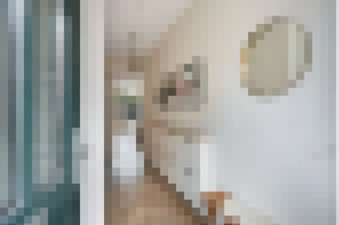 Samuel Beckettlaan 22 Den Haag thumbnail 10