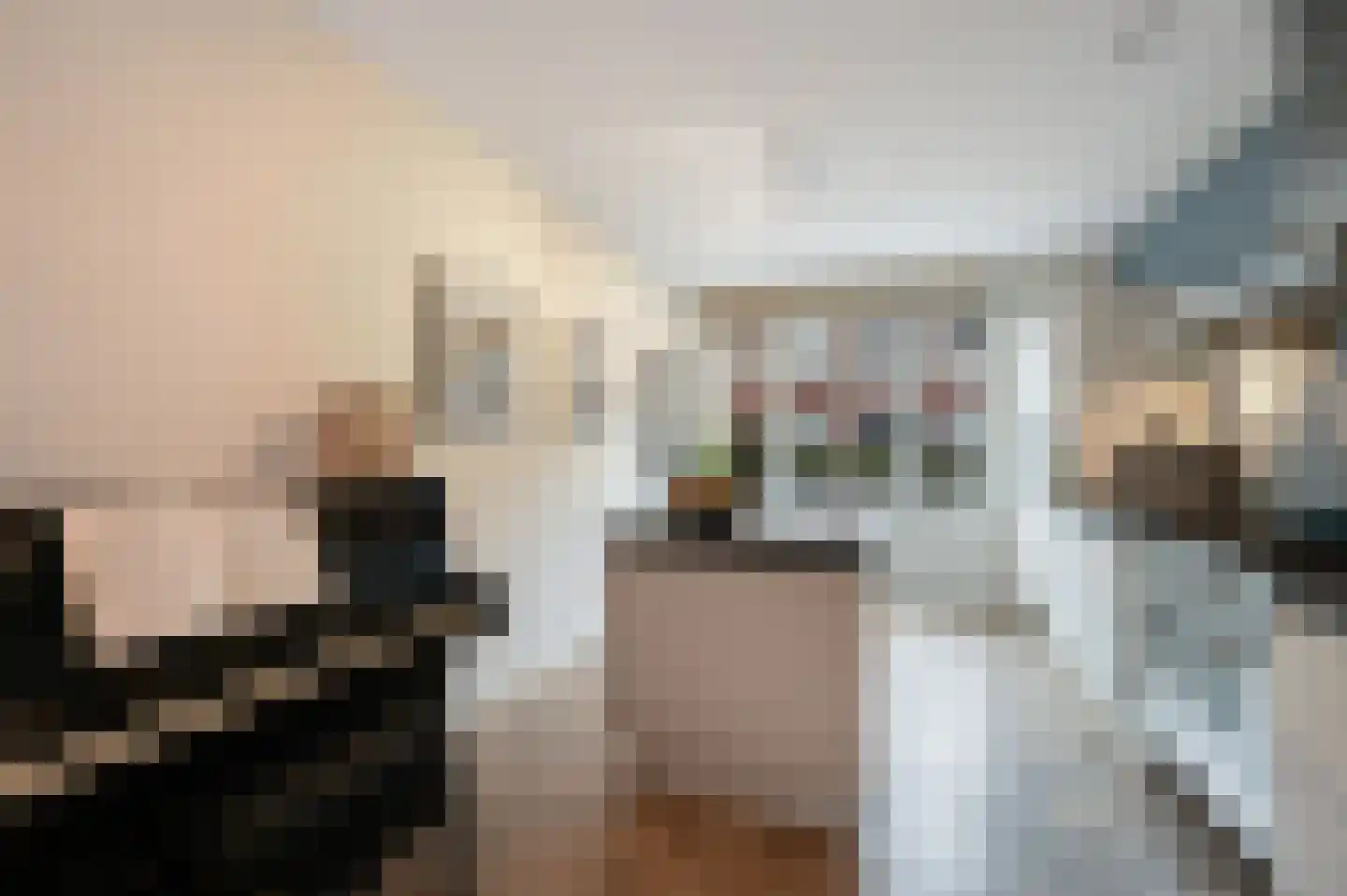 Samuel Beckettlaan 22 Den Haag thumbnail 12