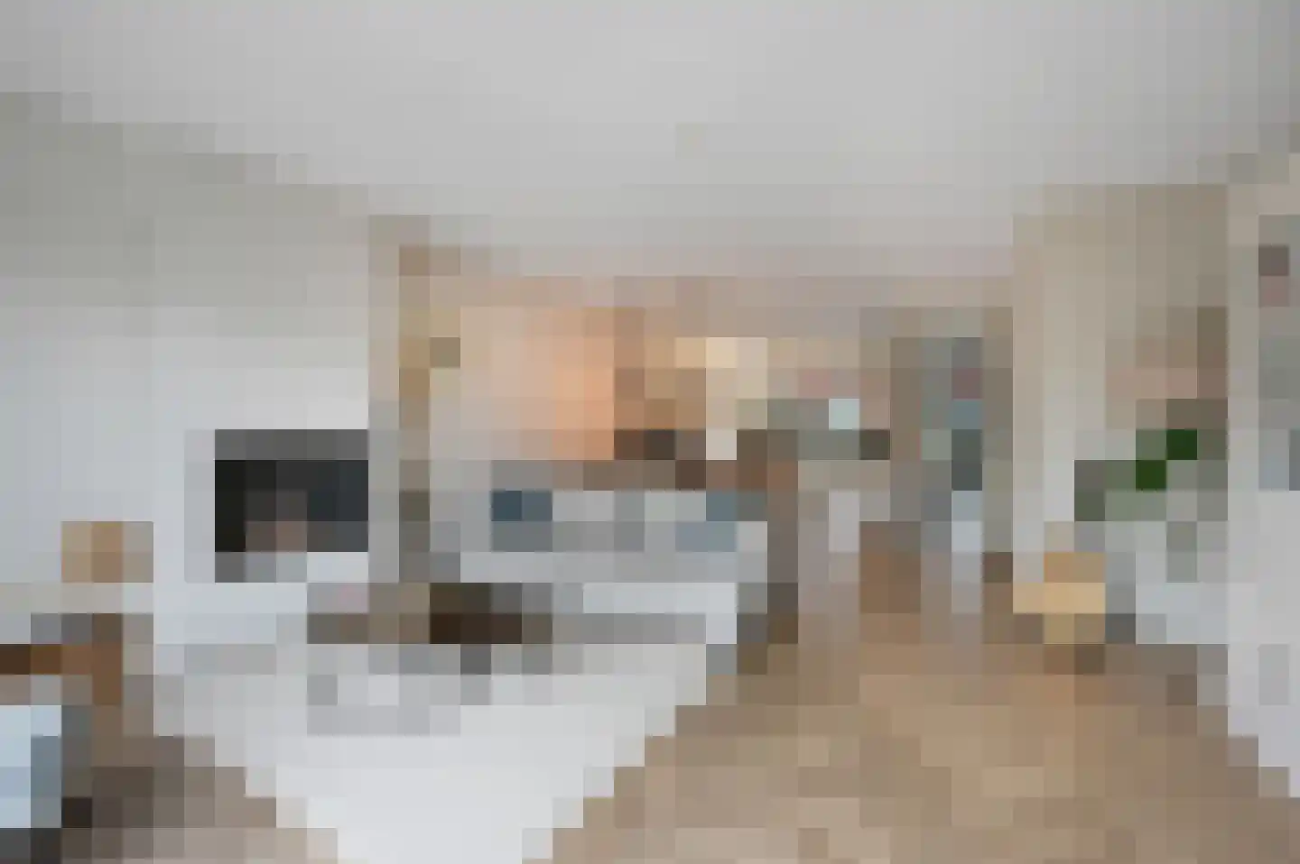 Samuel Beckettlaan 22 Den Haag thumbnail 26