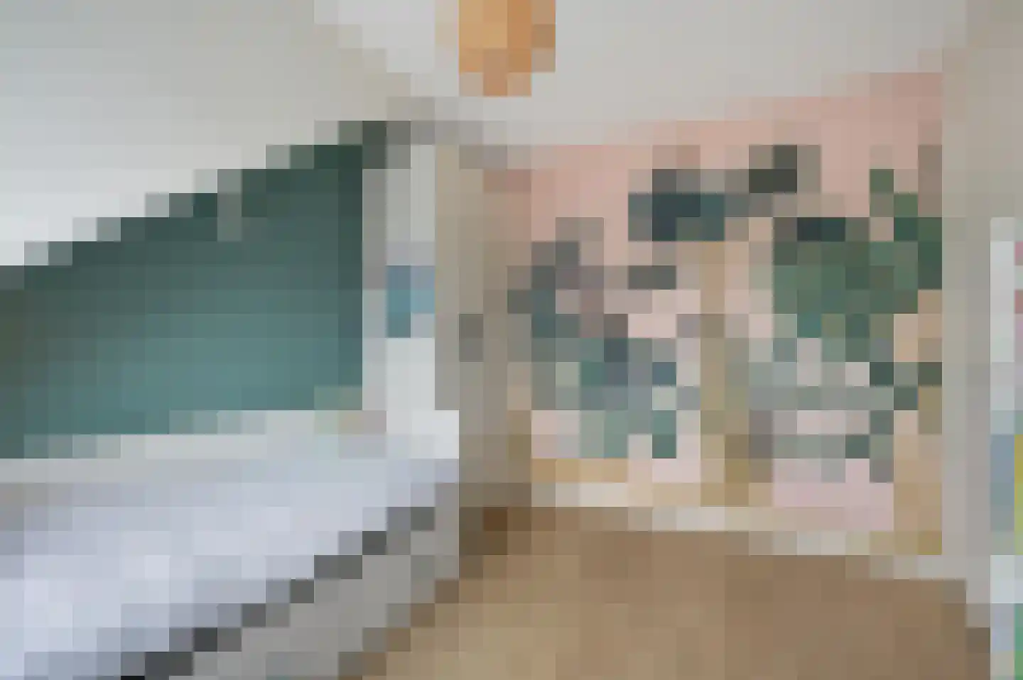 Samuel Beckettlaan 22 Den Haag thumbnail 43