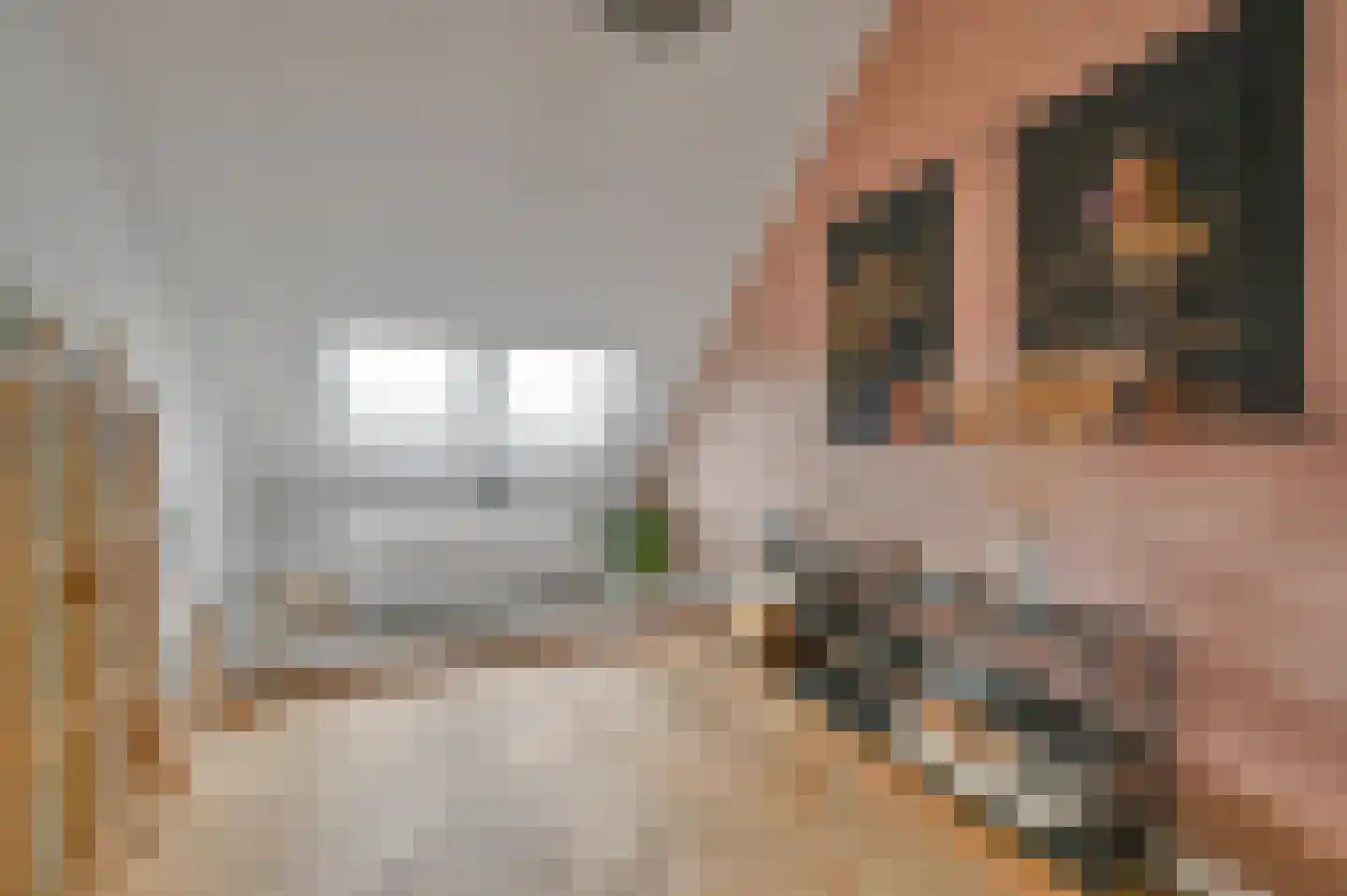 Samuel Beckettlaan 25 Den Haag thumbnail 42