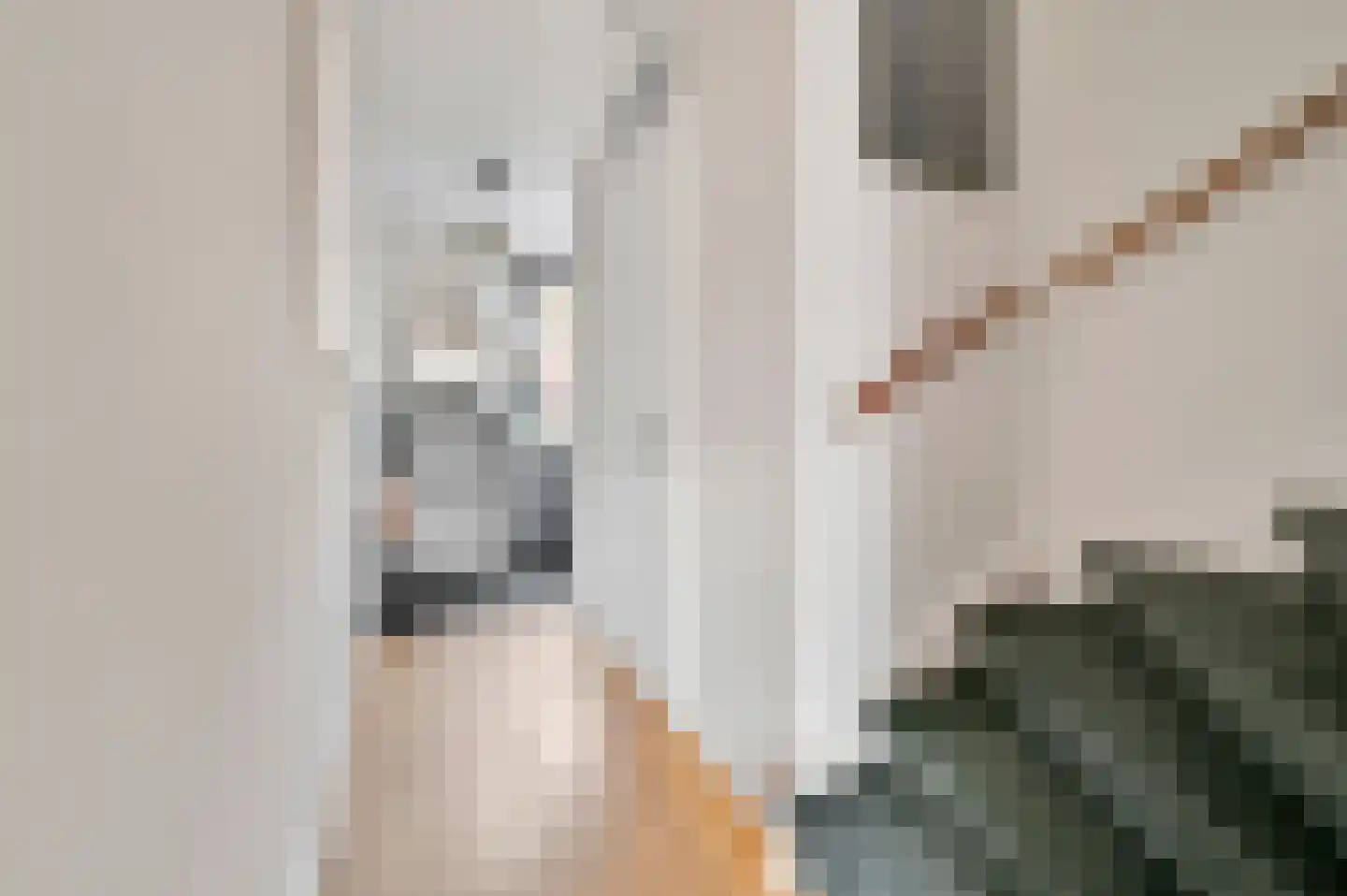 Samuel Beckettlaan 25 Den Haag thumbnail 8
