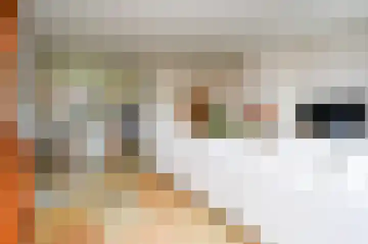 Samuel Beckettlaan 3 Den Haag thumbnail 18