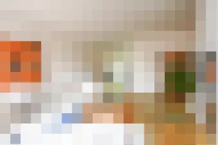 Samuel Beckettlaan 3 Den Haag thumbnail 20