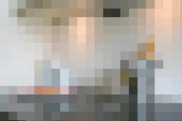 Samuel Beckettlaan 3 Den Haag thumbnail 23