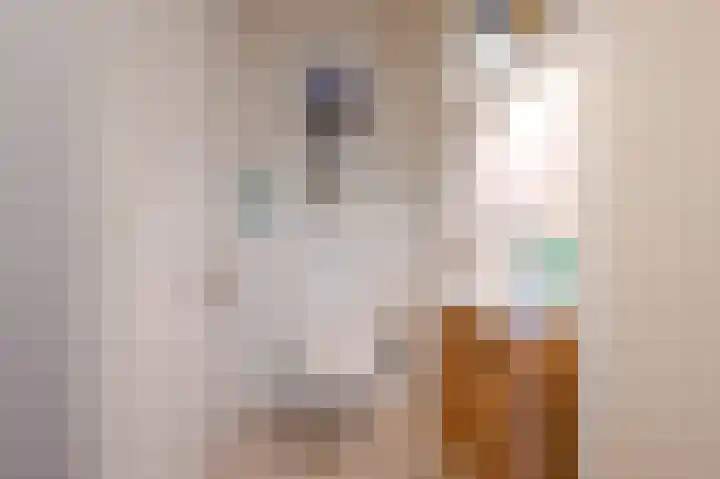 Samuel Beckettlaan 3 Den Haag thumbnail 27