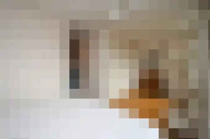 Samuel Beckettlaan 3 Den Haag thumbnail 29