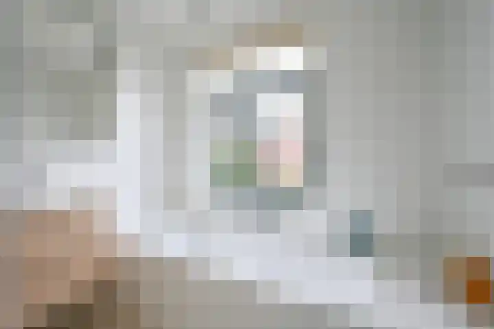 Samuel Beckettlaan 3 Den Haag thumbnail 34