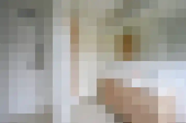 Samuel Beckettlaan 3 Den Haag thumbnail 35