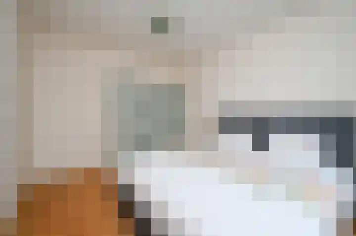 Samuel Beckettlaan 3 Den Haag thumbnail 37