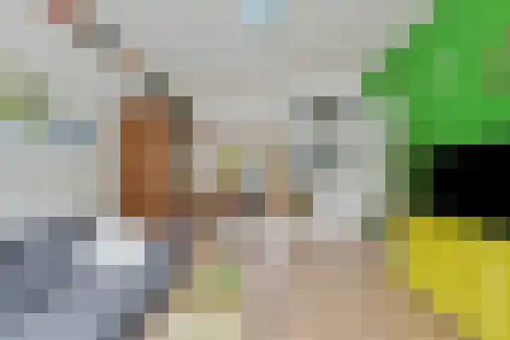 Samuel de Langestraat 23 Eindhoven thumbnail 10