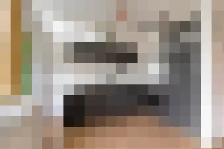 Samuel de Langestraat 23 Eindhoven thumbnail 13