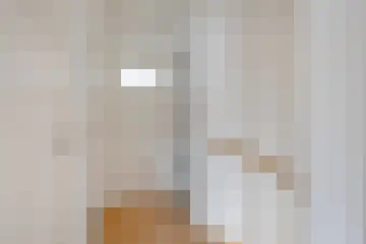Samuel de Langestraat 23 Eindhoven thumbnail 17