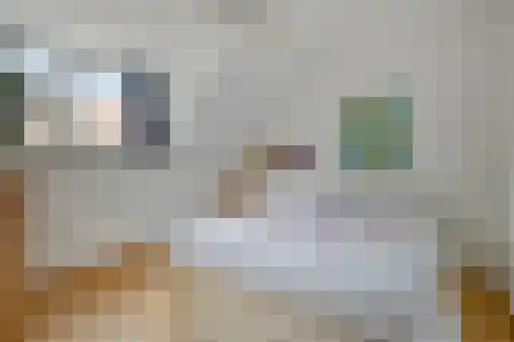 Samuel de Langestraat 23 Eindhoven thumbnail 18