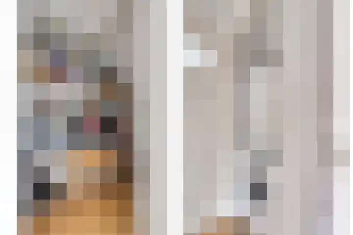 Samuel de Langestraat 23 Eindhoven thumbnail 20