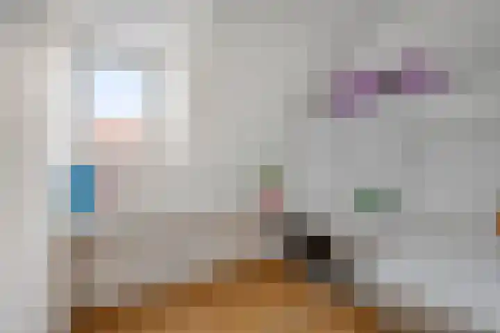 Samuel de Langestraat 23 Eindhoven thumbnail 22