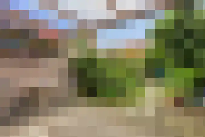 Samuel de Langestraat 23 Eindhoven thumbnail 28