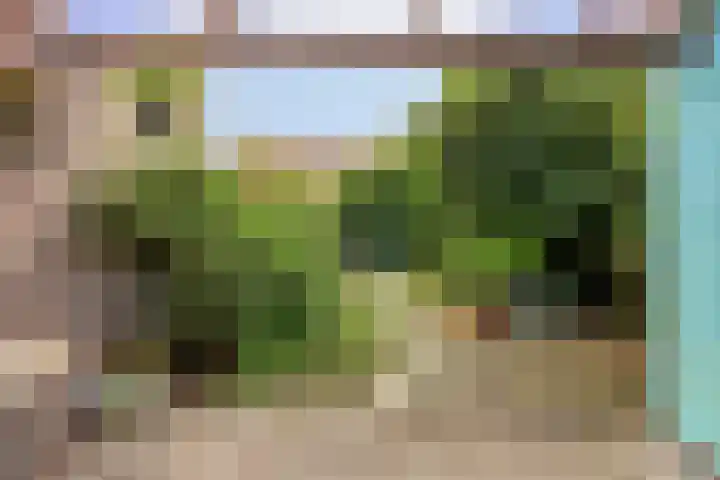 Samuel de Langestraat 23 Eindhoven thumbnail 4