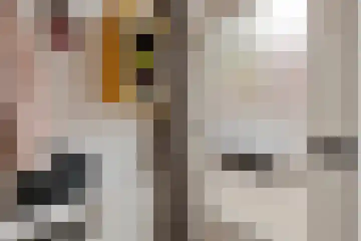 Samuel de Langestraat 23 Eindhoven thumbnail 5